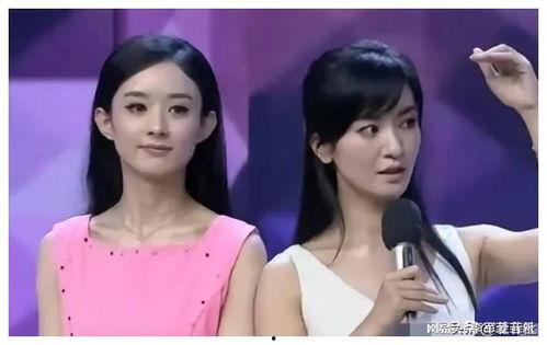 娱乐圈吃瓜大爆料马伊琍,揭秘背后的真相与争议